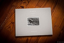 Couverture du livre "Accepte-le, Un Album portugais 1919-1979" de Céline Gaille 